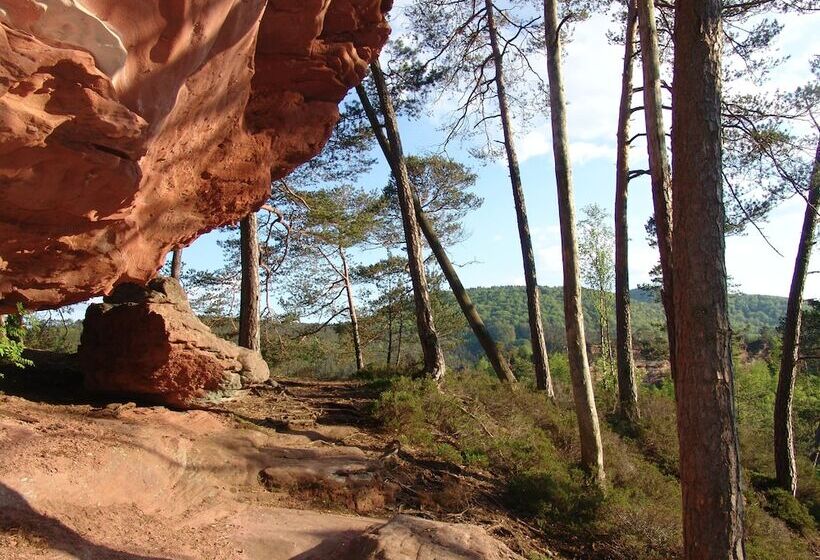 Отель Pension Tannenhof