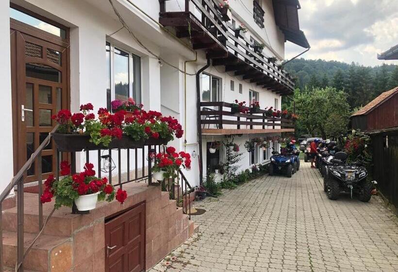 호텔 Pensiunea Maria