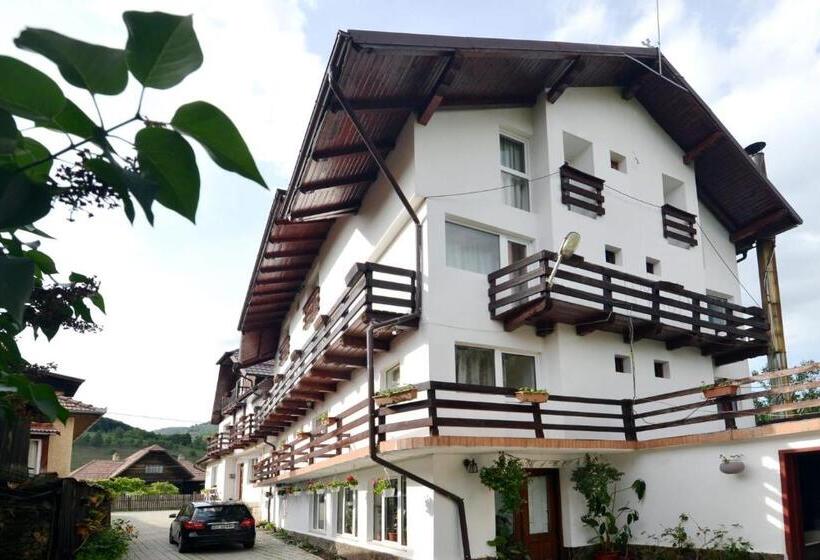 호텔 Pensiunea Maria