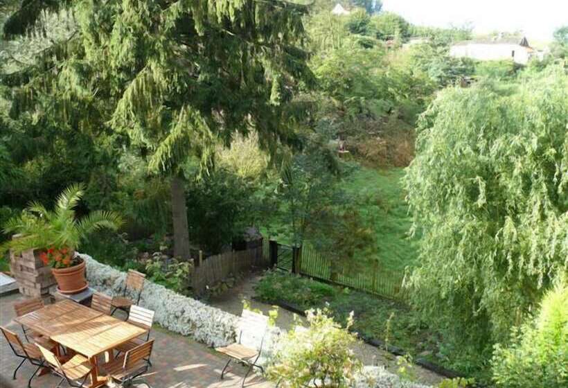 酒店 Vertes Feuilles