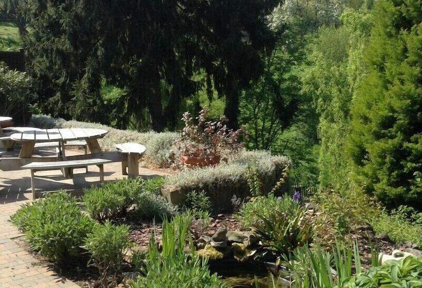 酒店 Vertes Feuilles