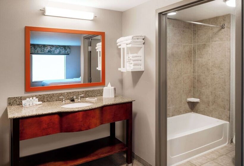 Hampton Inn & Suites Salida