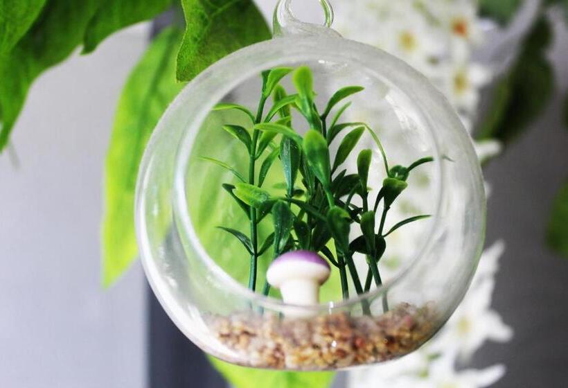 酒店 Aeroporto Montese Star