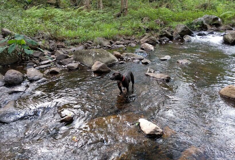هتل Alstonville Country Cottages
