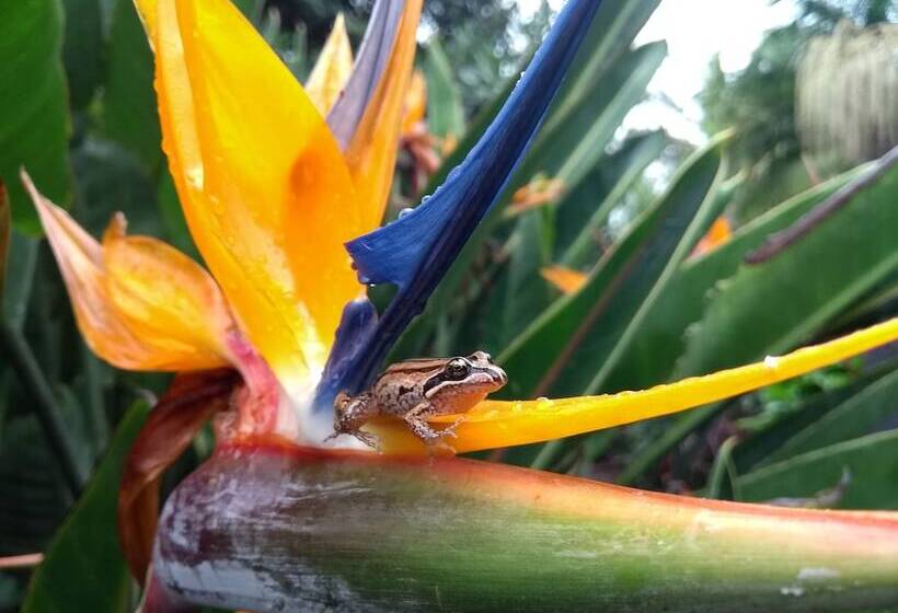 هتل Alstonville Country Cottages