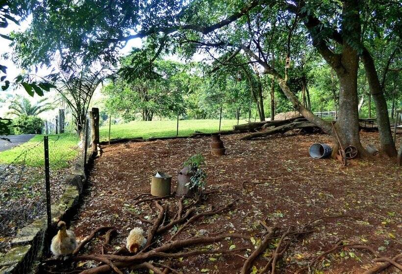 هتل Alstonville Country Cottages