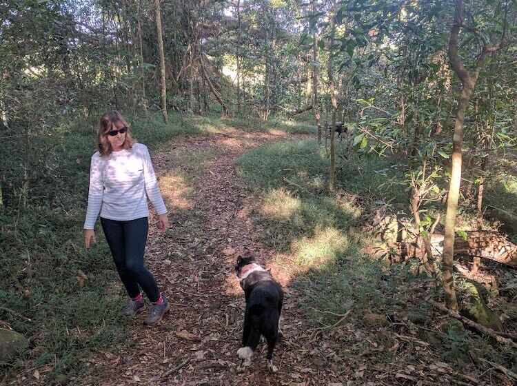 هتل Alstonville Country Cottages