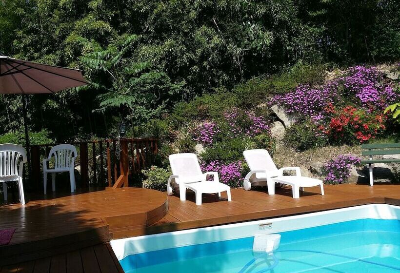 Отель Bellus Rose Pension