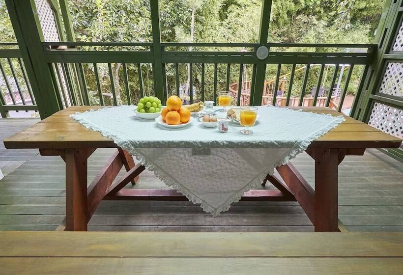 Отель Bellus Rose Pension