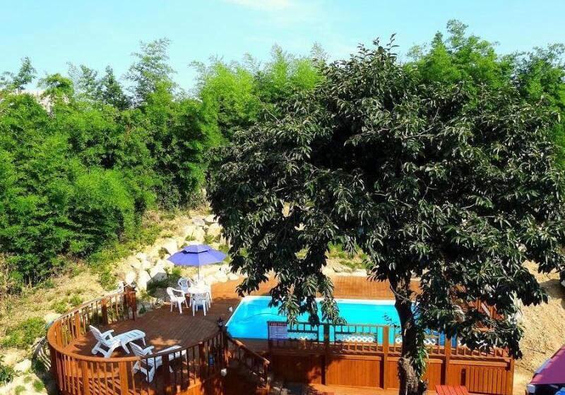 Отель Bellus Rose Pension