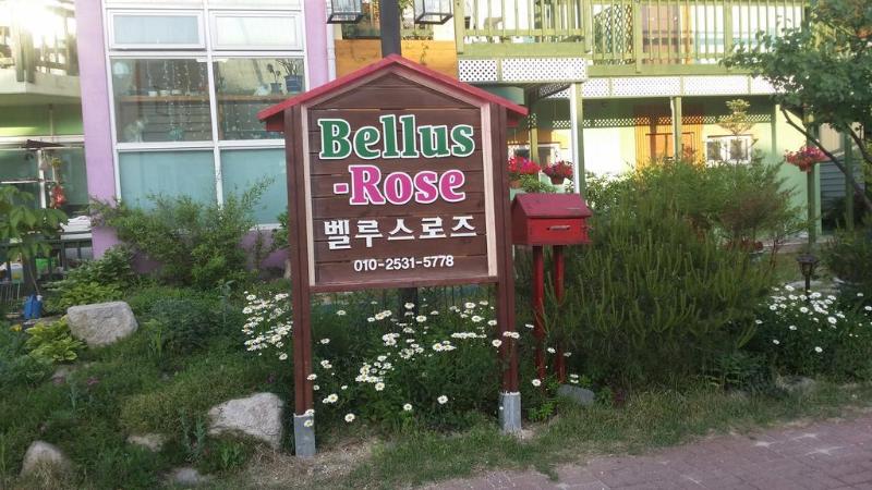 Отель Bellus Rose Pension