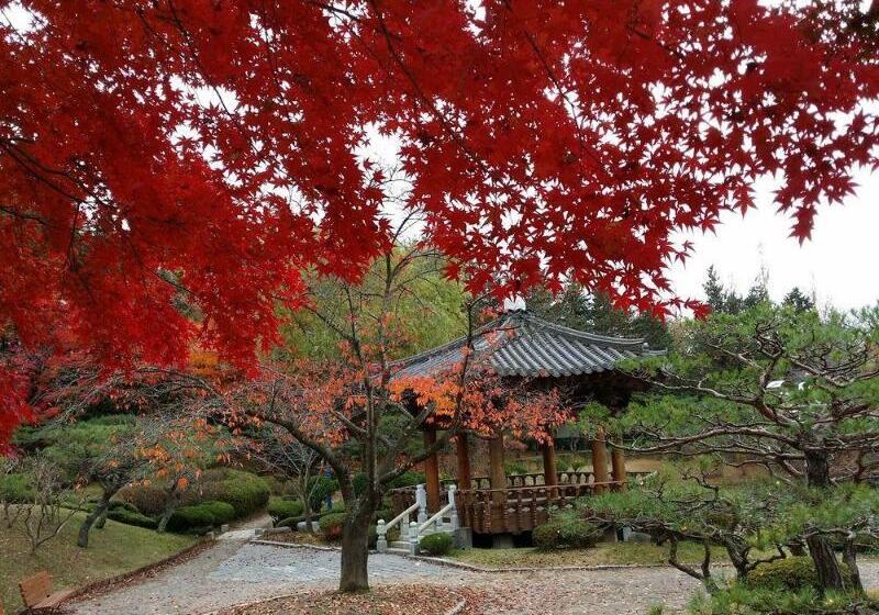 Отель Bellus Rose Pension