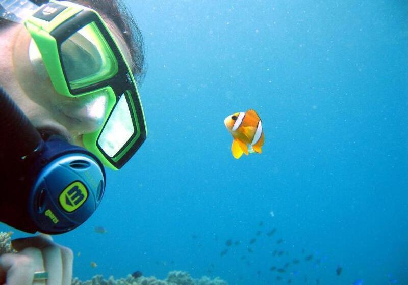 هتل Blue Star Dive & Resort