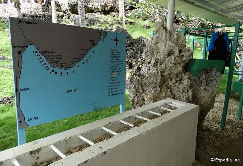 هتل Blue Star Dive & Resort