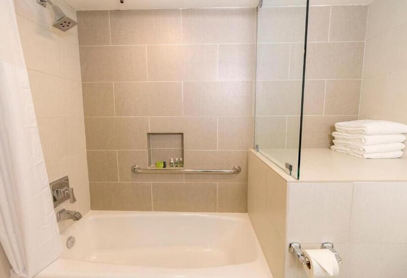 ホテル Carlsbad Seapointe Resort