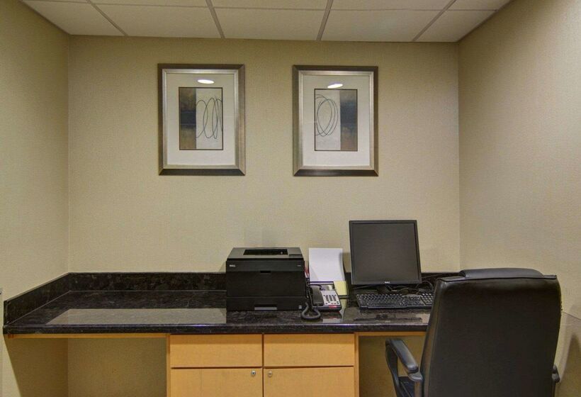 ホテル Comfort Suites Lindale