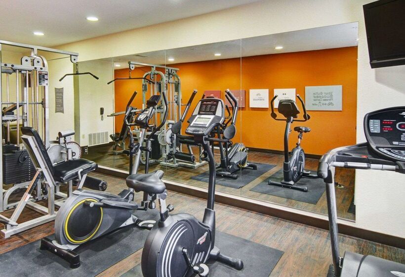 酒店 Comfort Suites Lindale