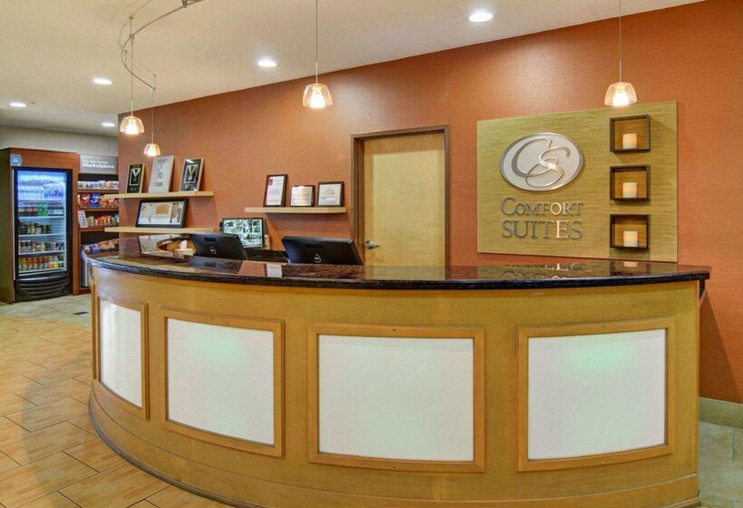 ホテル Comfort Suites Lindale