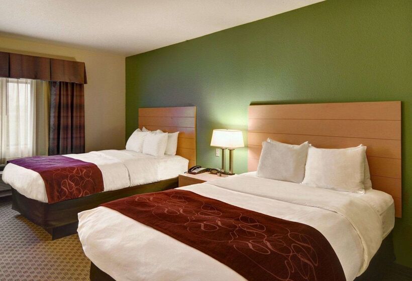 酒店 Comfort Suites Lindale