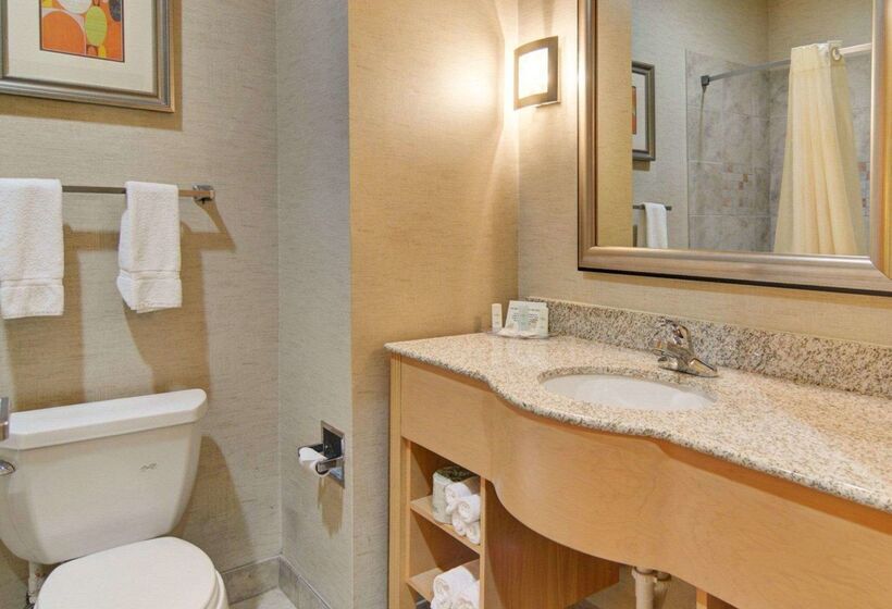 酒店 Comfort Suites Lindale