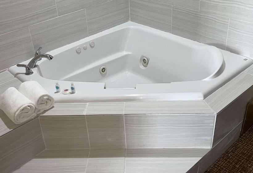 בית מלון כפרי Comfort Suites Near Seaworld