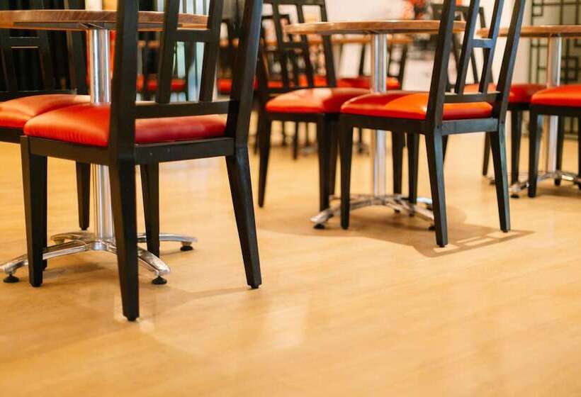 בית מלון כפרי Dynasty Tourist Inn