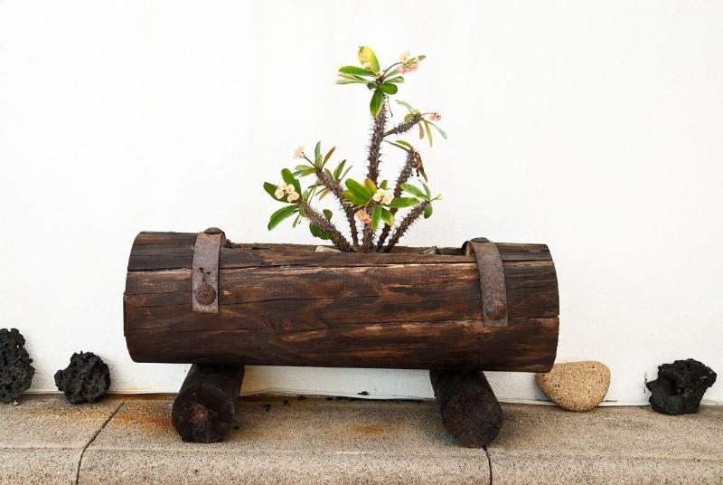 El Hotelito Del Golfo