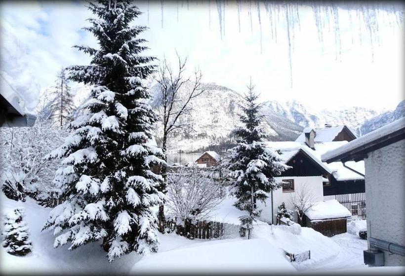 호텔 Pension Bergfried