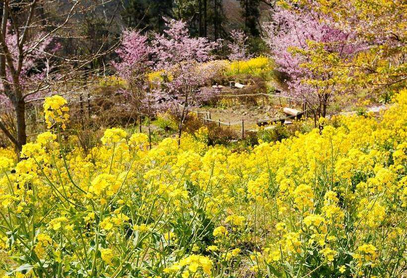 ホテル Hakonenomori Okada