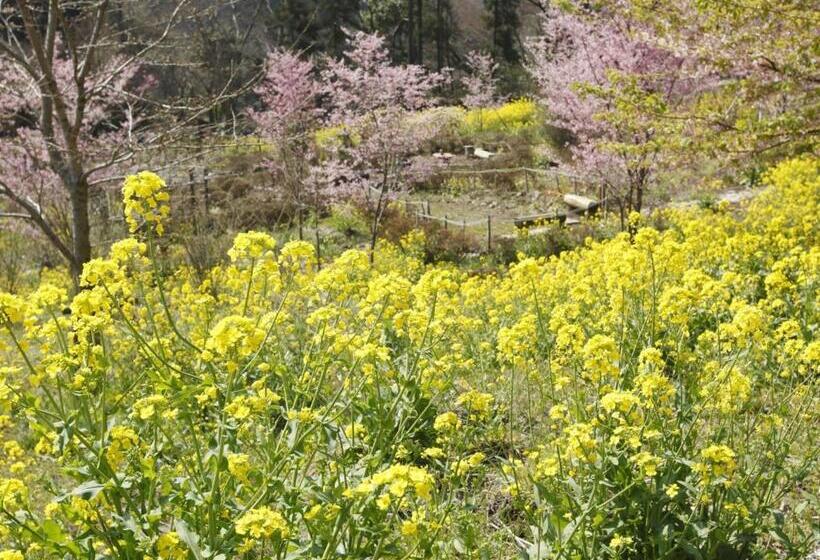 ホテル Hakonenomori Okada