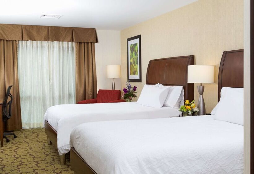 فندق Hilton Garden Inn Burlingtondowntown