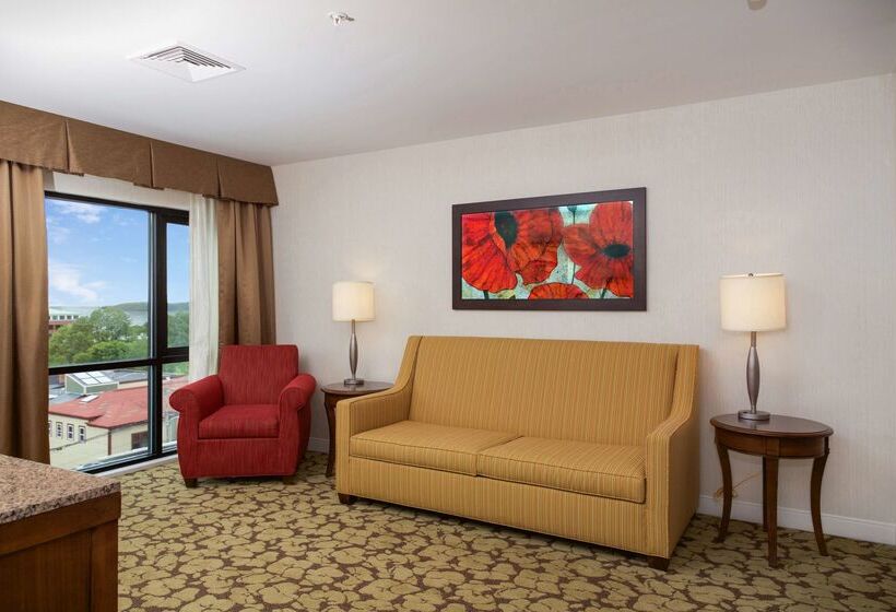 فندق Hilton Garden Inn Burlingtondowntown