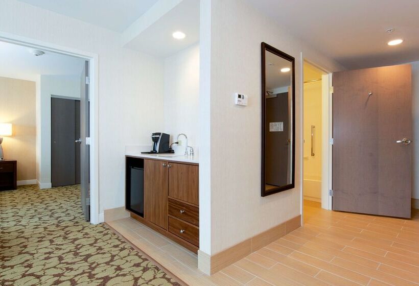 فندق Hilton Garden Inn Burlingtondowntown