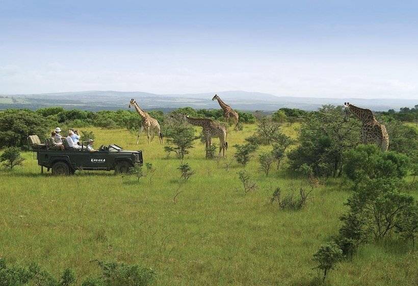 فندق Kariega Game Reserve   River Lodge