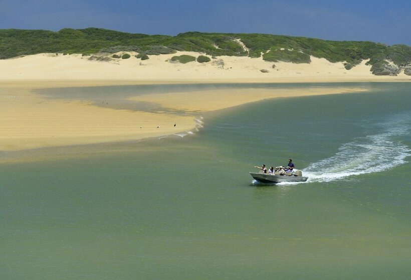 فندق Kariega Game Reserve   River Lodge