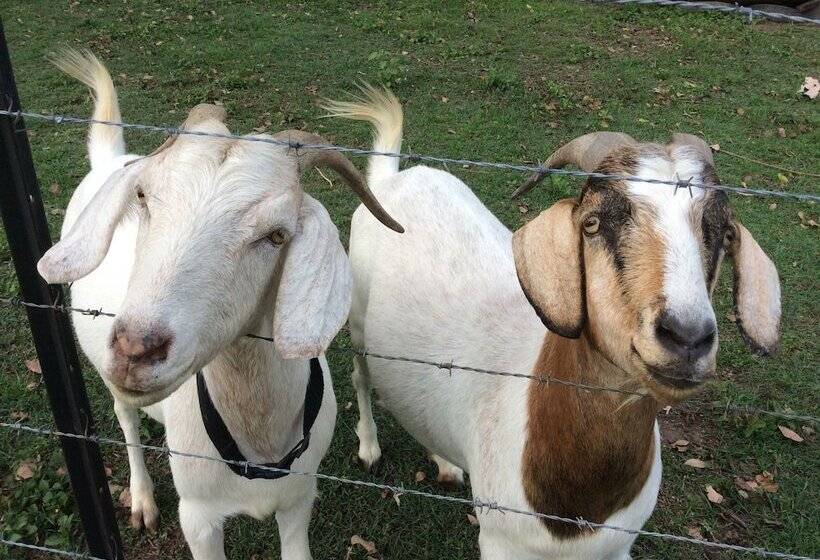 فندق Lagoon Pocket B&b