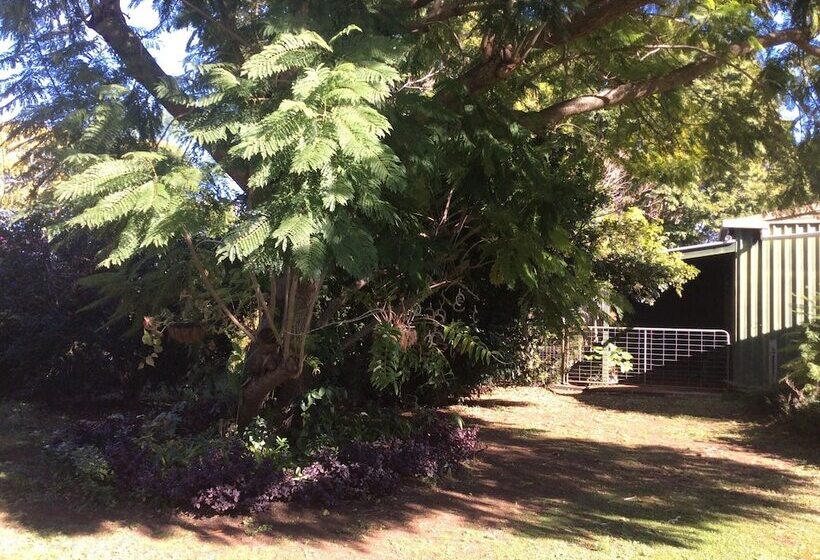 فندق Lagoon Pocket B&b