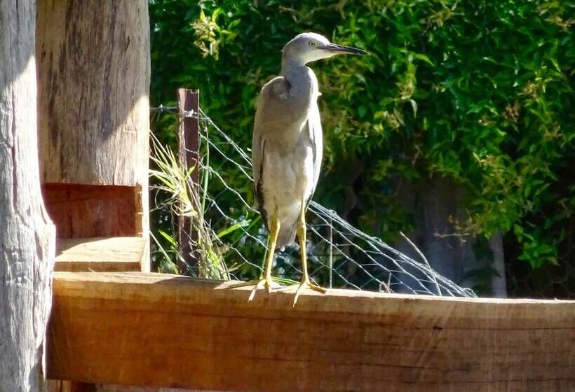 فندق Lagoon Pocket B&b