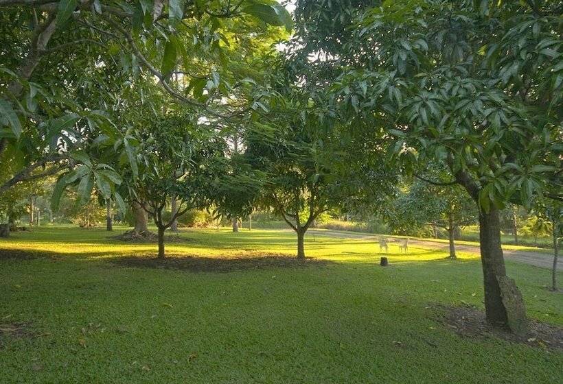 فندق Lagoon Pocket B&b