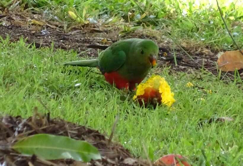 فندق Lagoon Pocket B&b