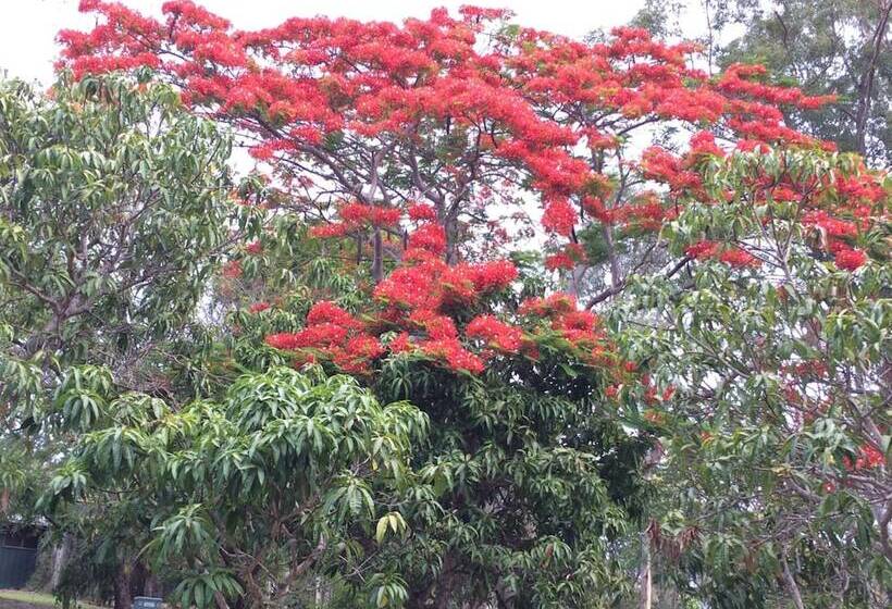 فندق Lagoon Pocket B&b