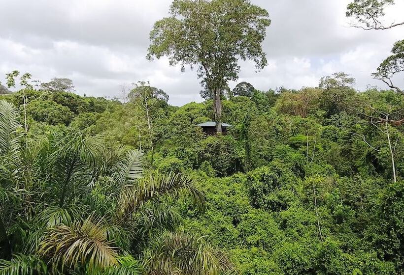 فندق Maquenque Ecolodge