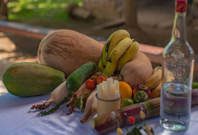 فندق Maquenque Ecolodge