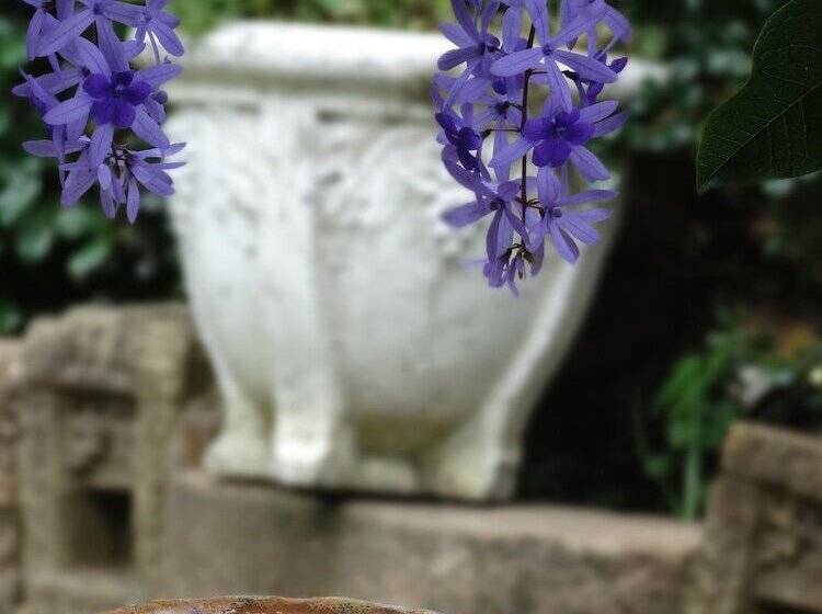 Отель Noosa Valley Manor B&b