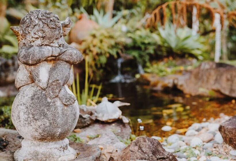 Отель Noosa Valley Manor B&b