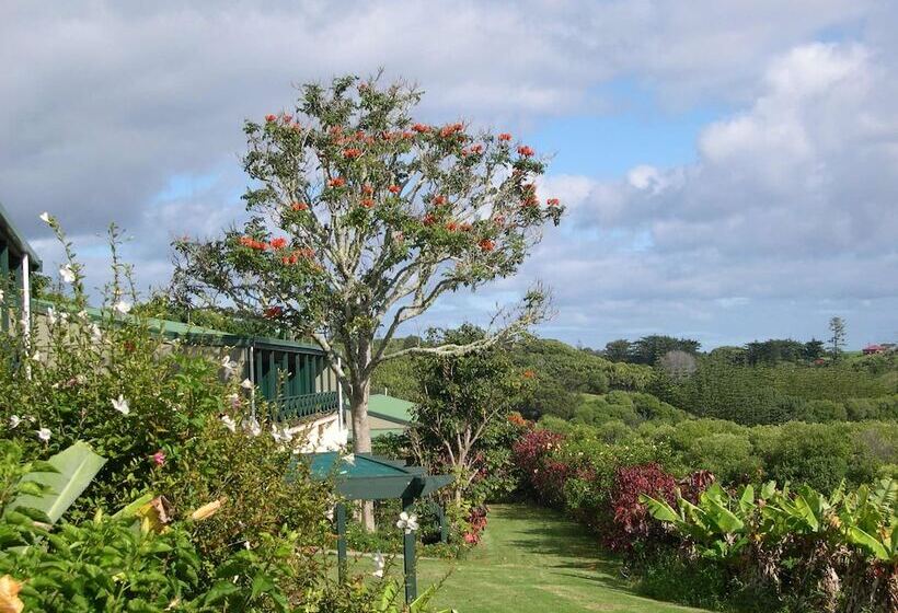 هتل Norfolk Holiday Apartments