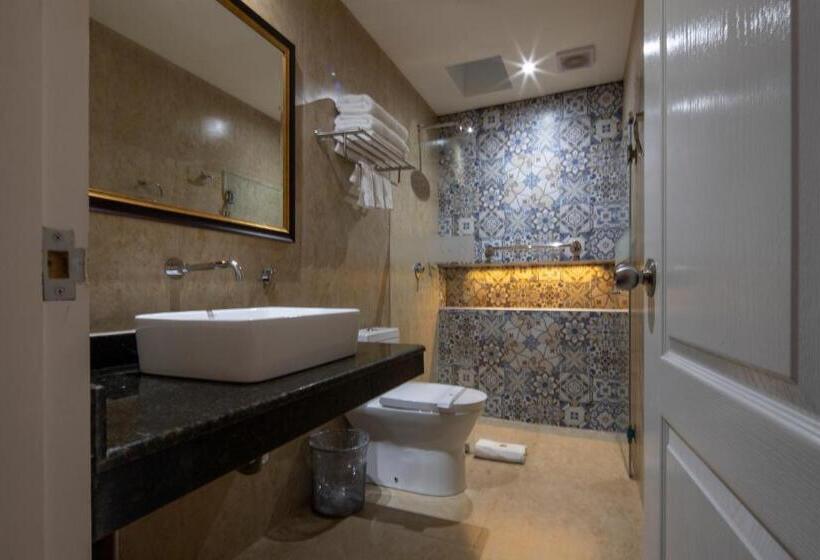 בית מלון כפרי Rojas Inn