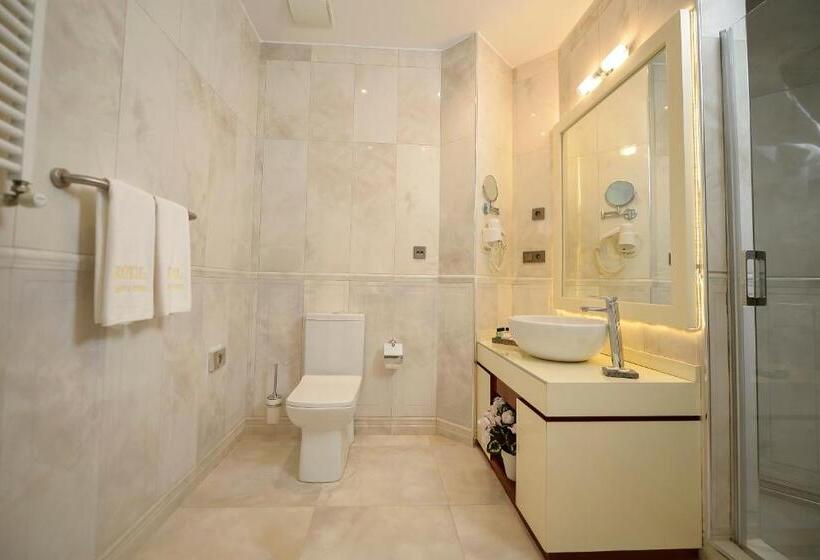 هتل Royal Casino &