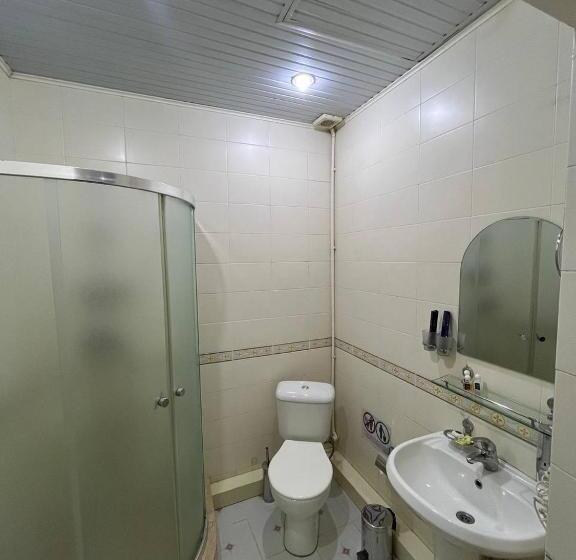 فندق Royal Palace