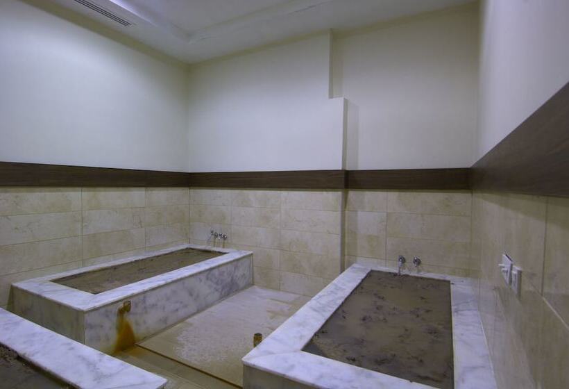 فندق Safran Thermal Resort